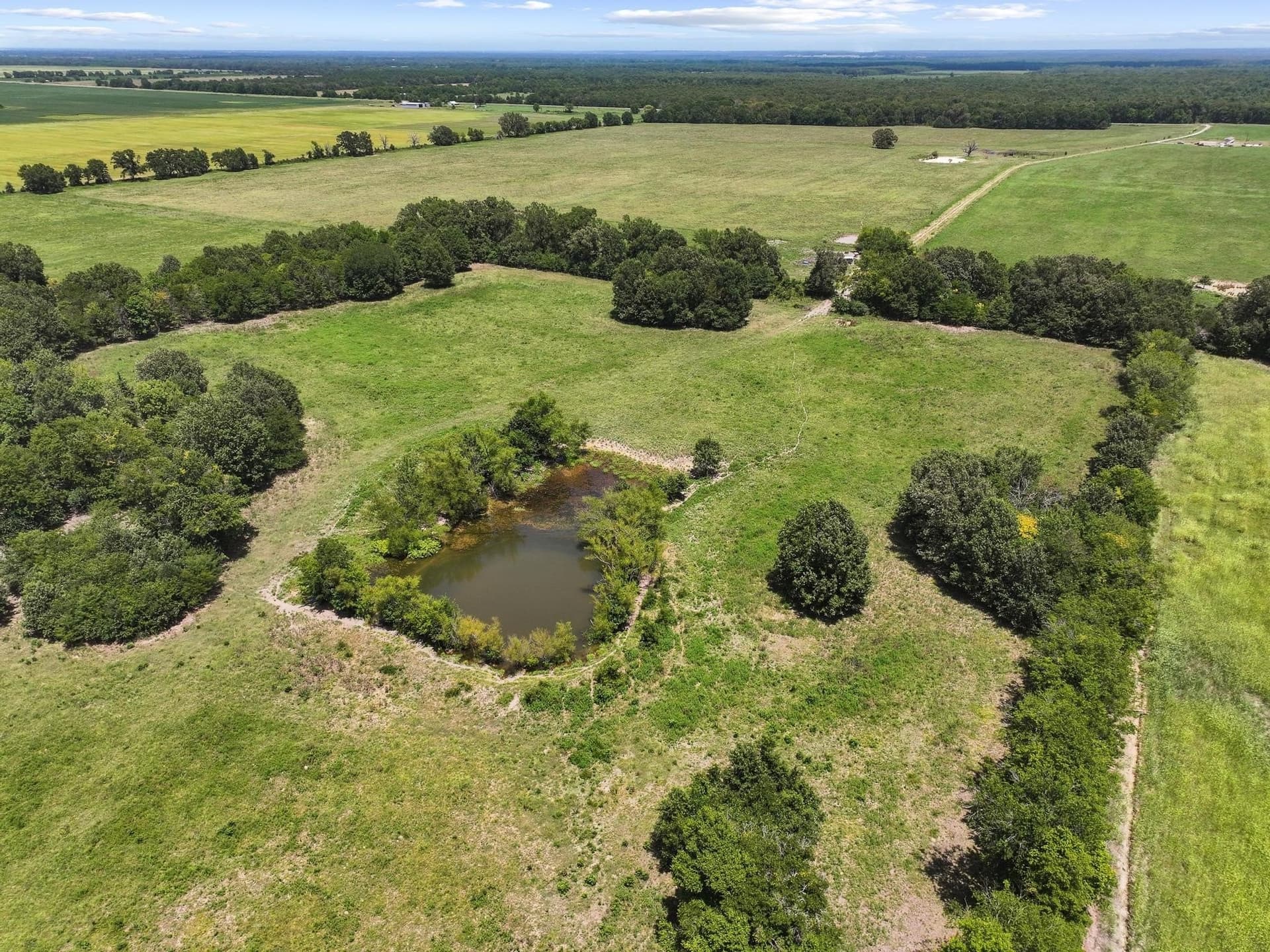 227.1 acres in Red River (TX) County - photo 13