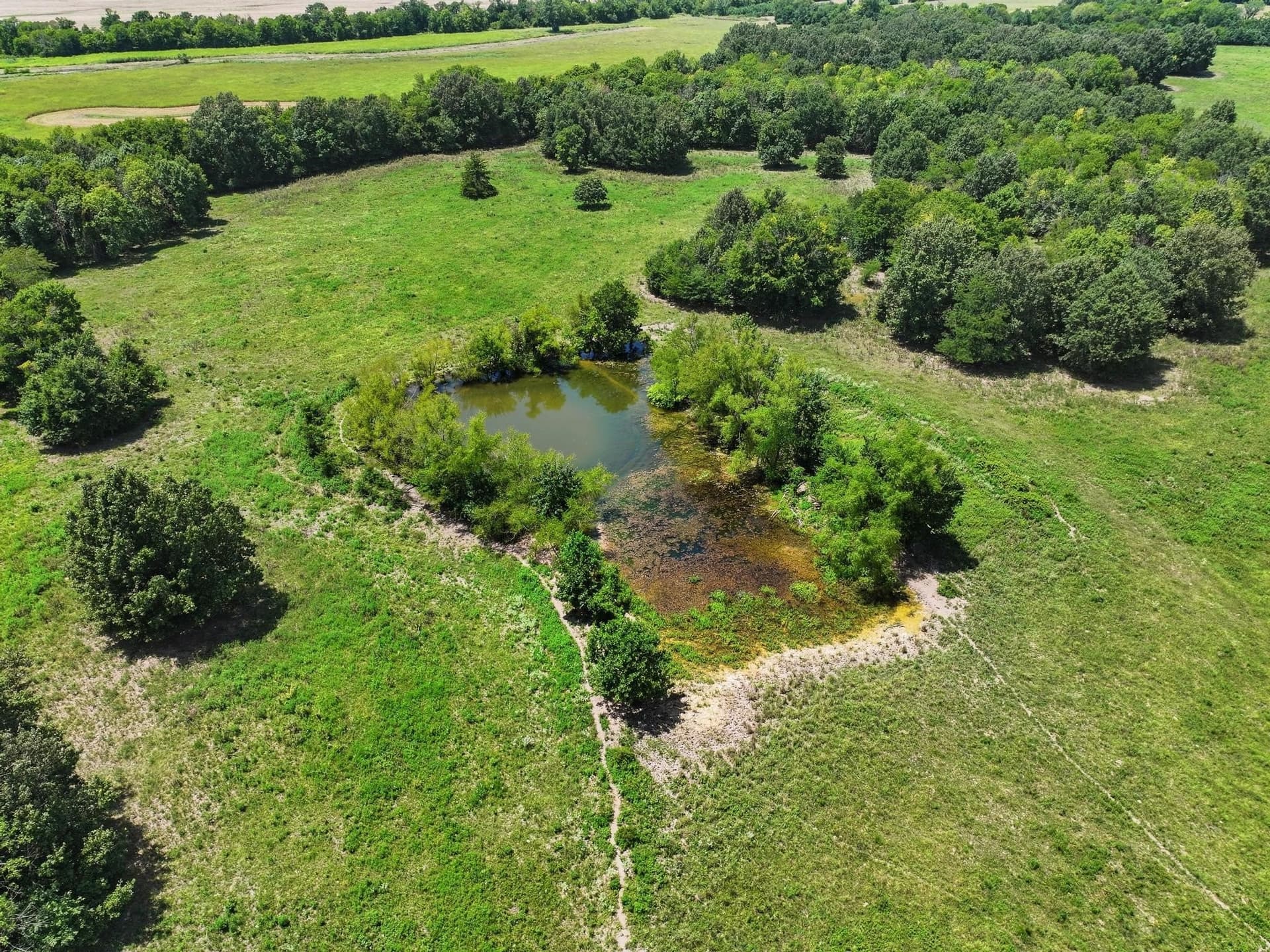 227.1 acres in Red River (TX) County - photo 15