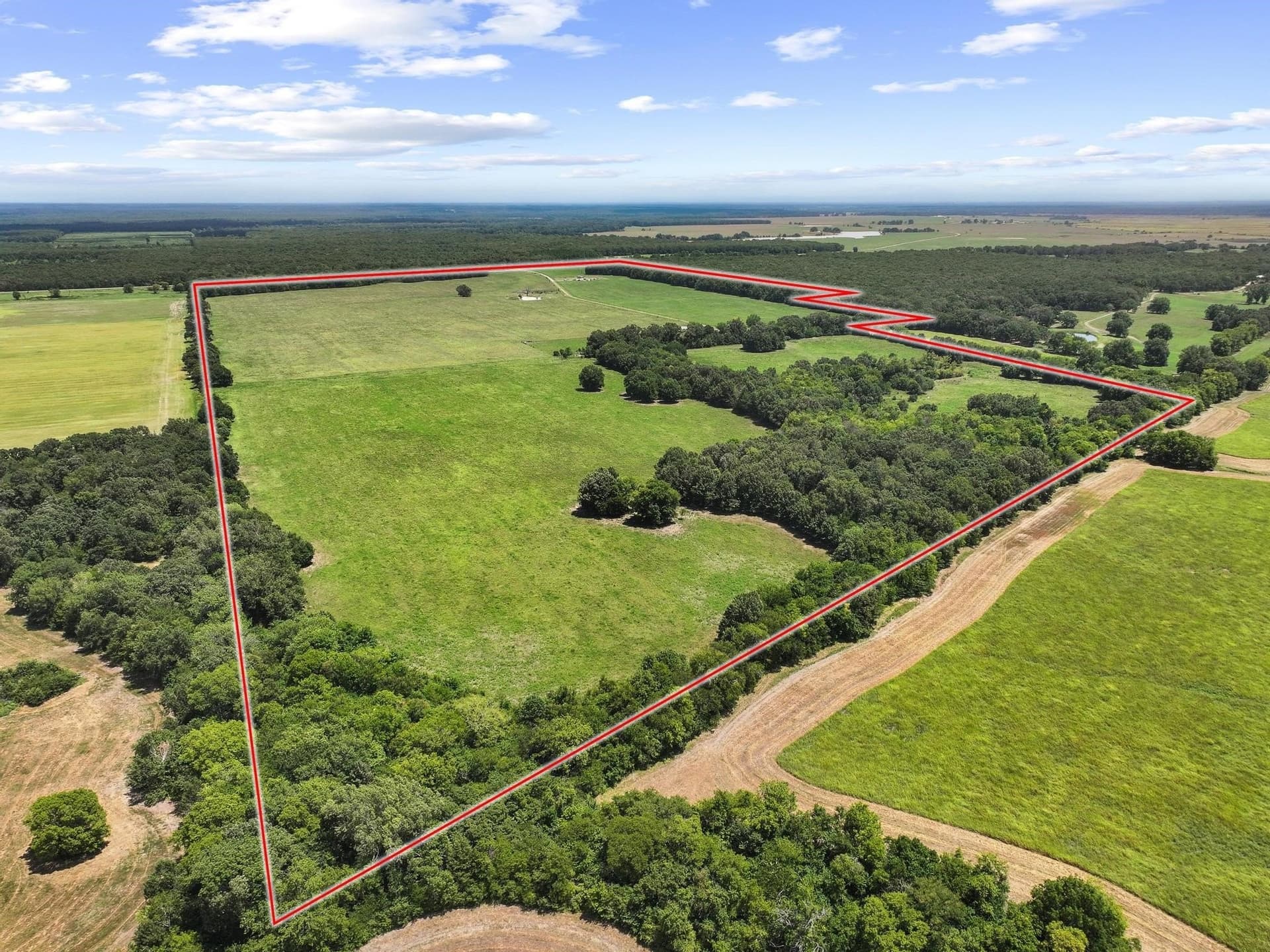 227.1 acres in Red River (TX) County - photo 6