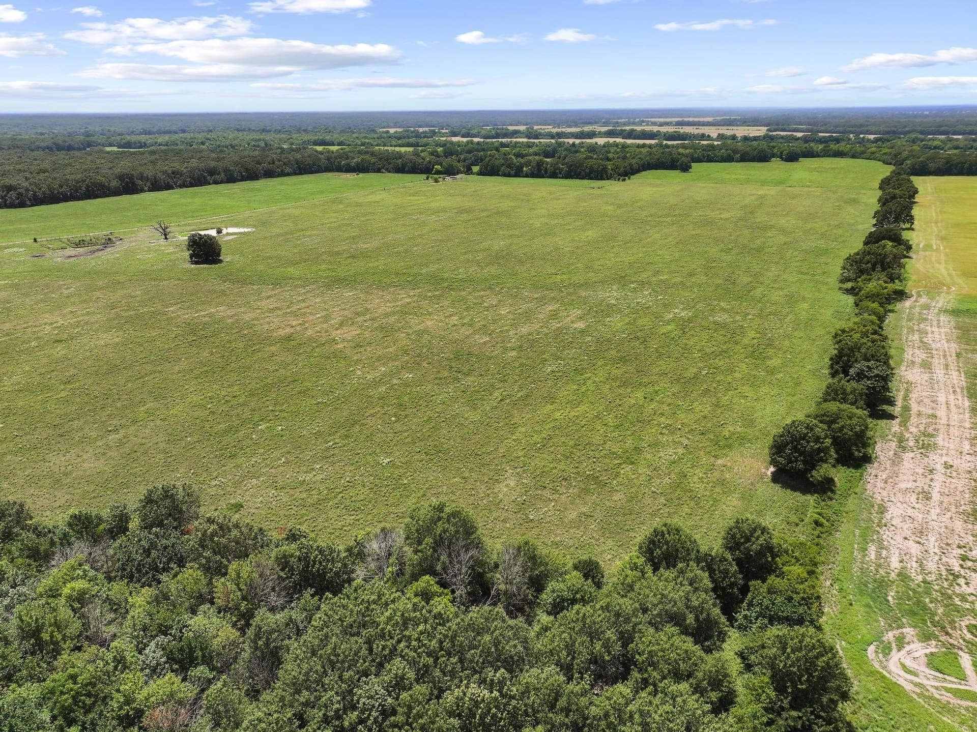 227.1 acres in Red River (TX) County - photo 10