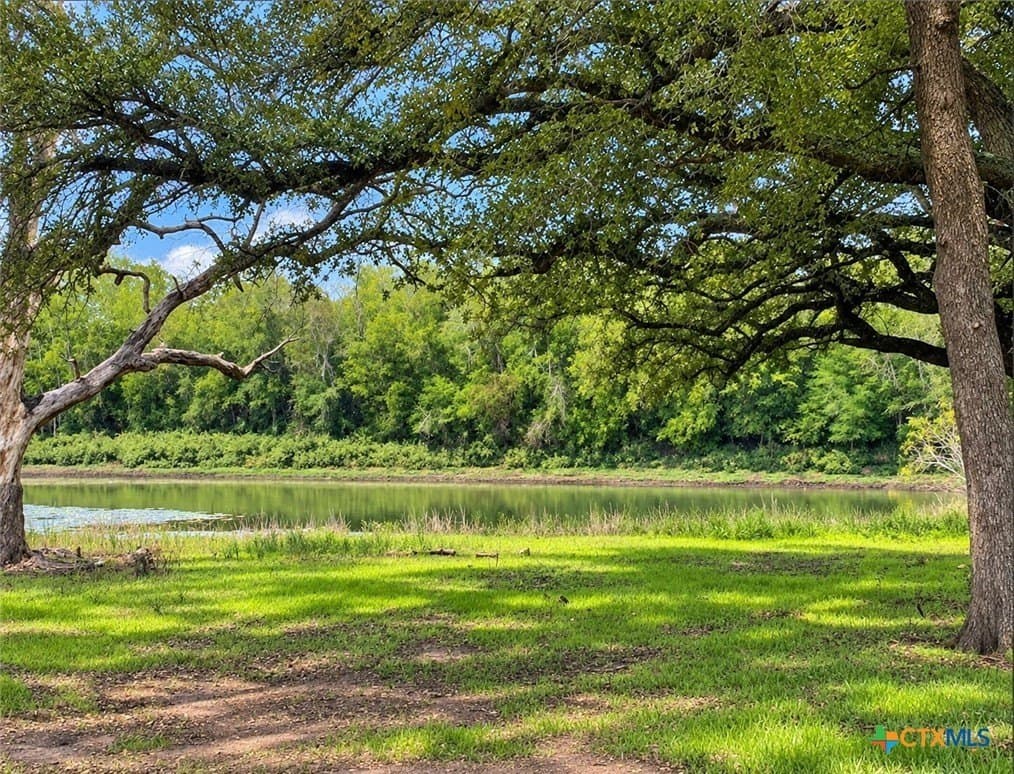 206.91 acres in Gonzales County - photo 33