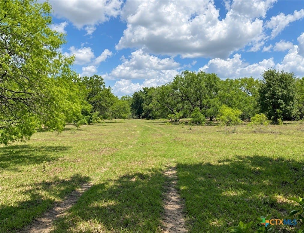 206.91 acres in Gonzales County - photo 34