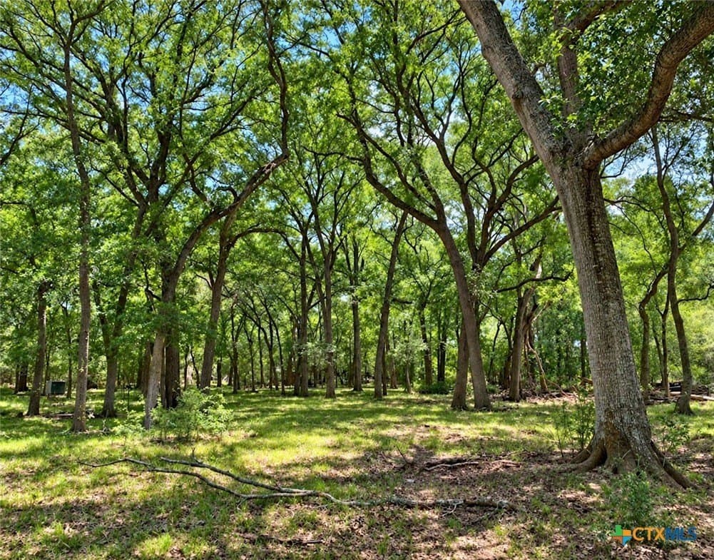 206.91 acres in Gonzales County - photo 35