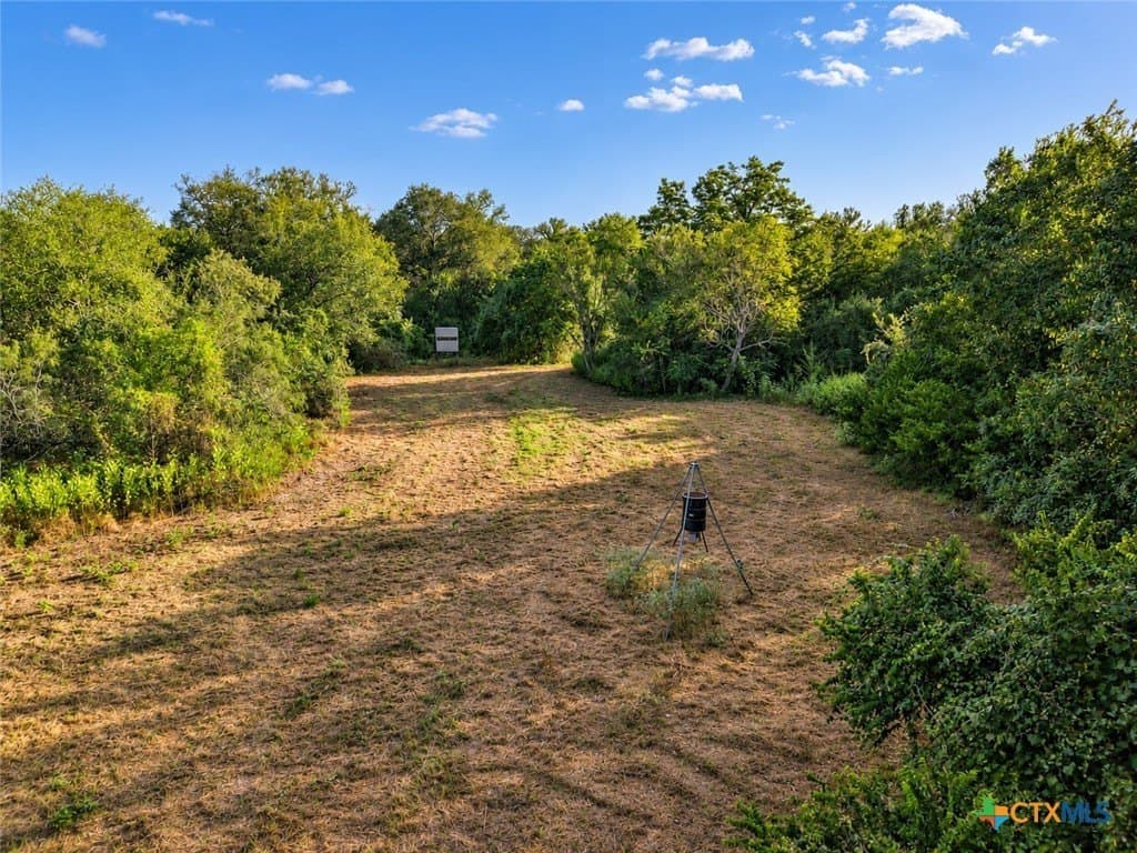 206.91 acres in Gonzales County - photo 24