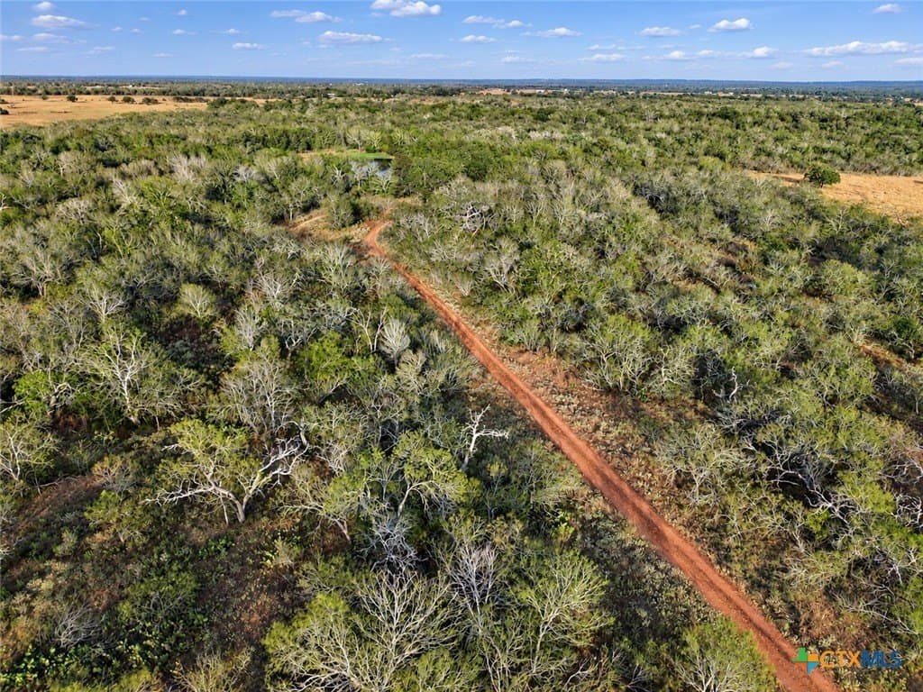 206.91 acres in Gonzales County - photo 27