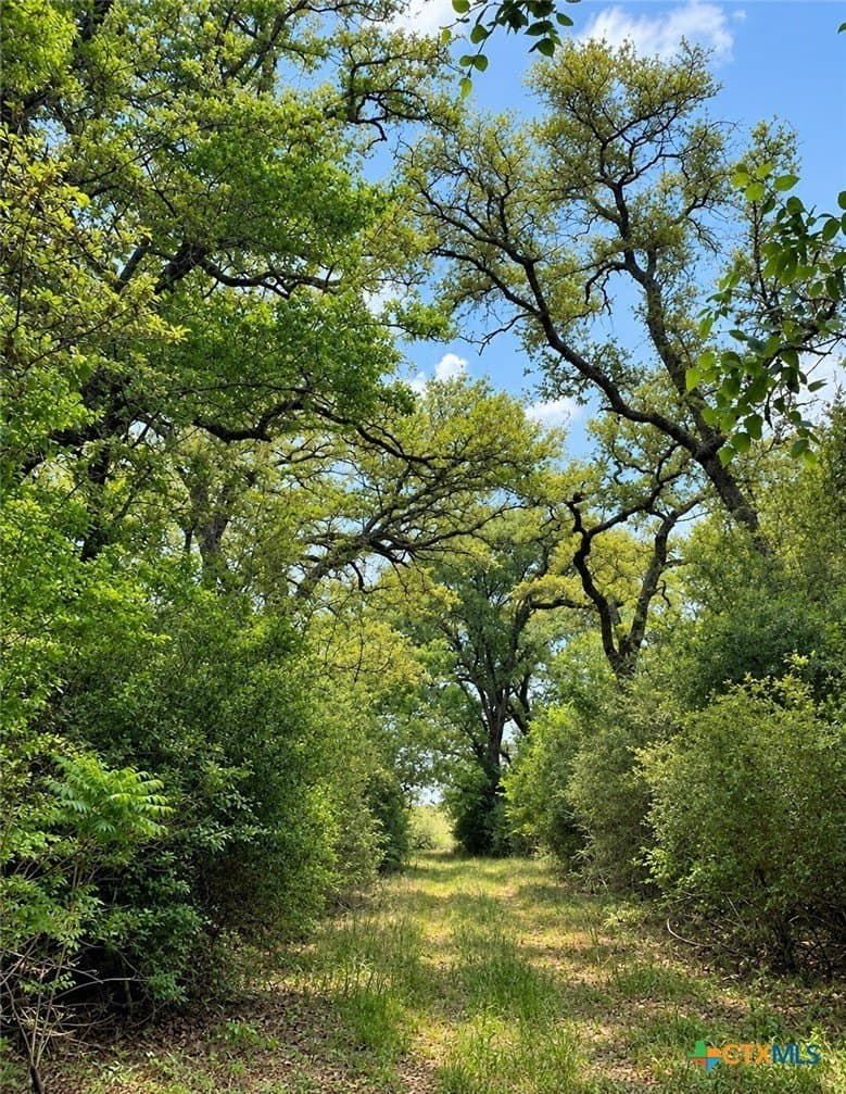 206.91 acres in Gonzales County - photo 30