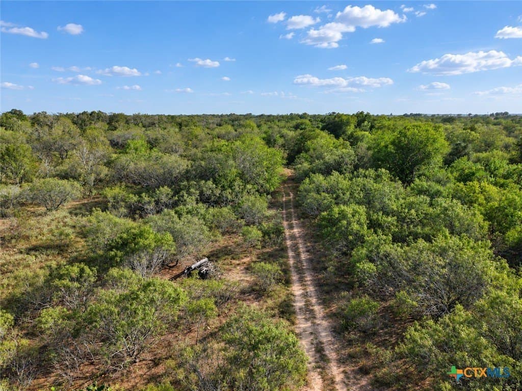 206.91 acres in Gonzales County - photo 28