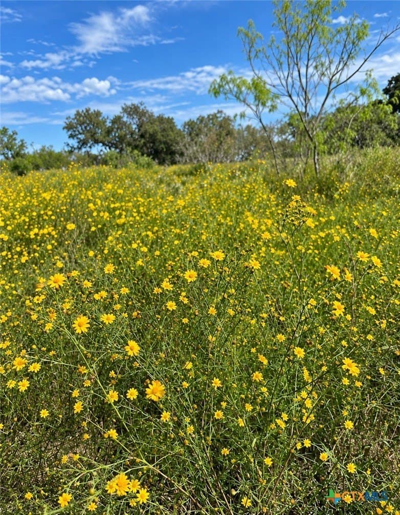 206.91 acres in Gonzales County - photo 32