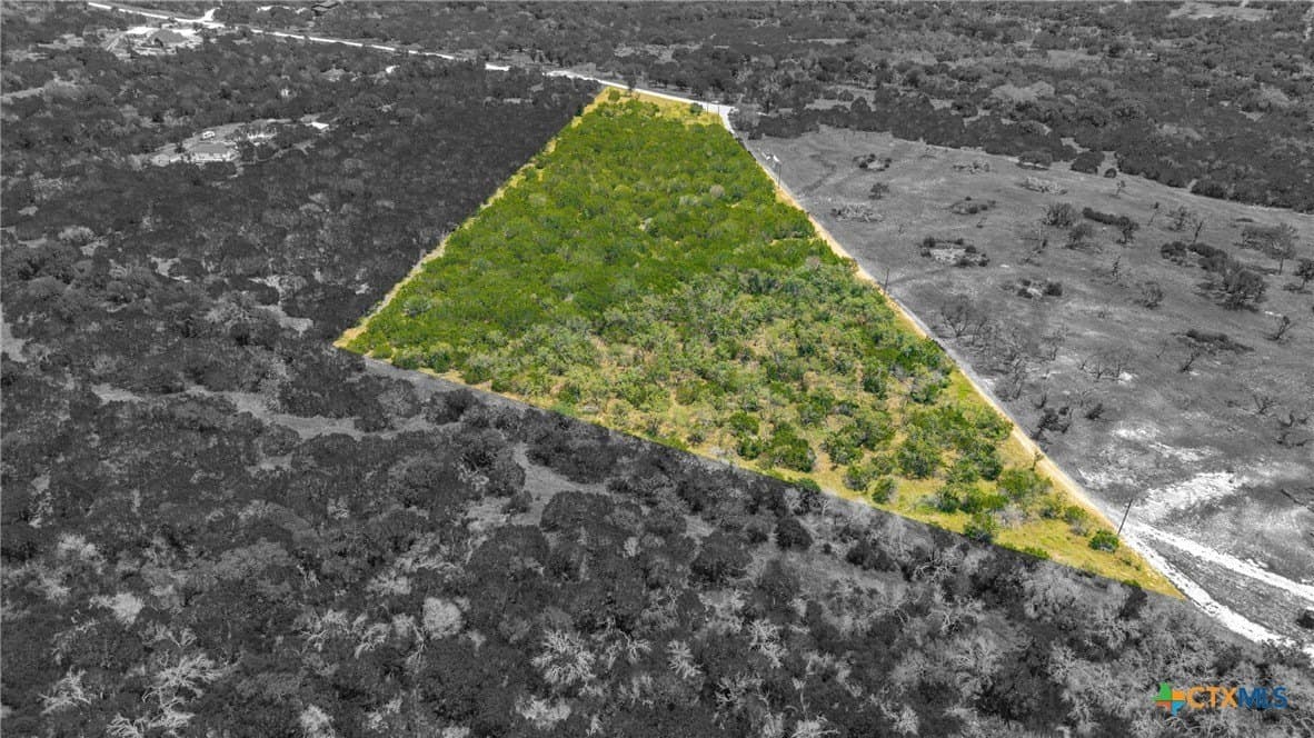 10.01 acres in Coryell County gallery image 3