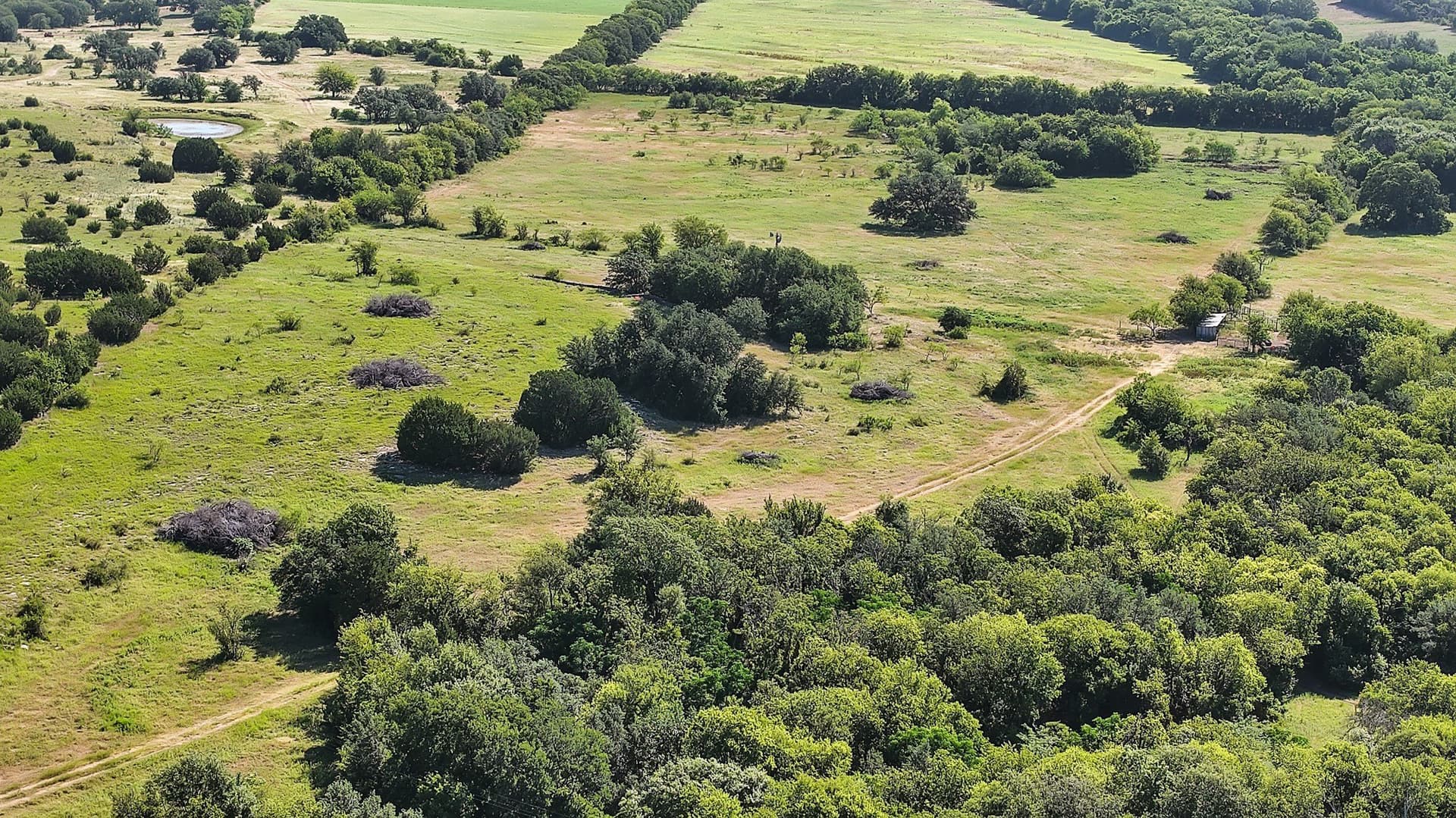 153 acres in Erath County gallery image 3