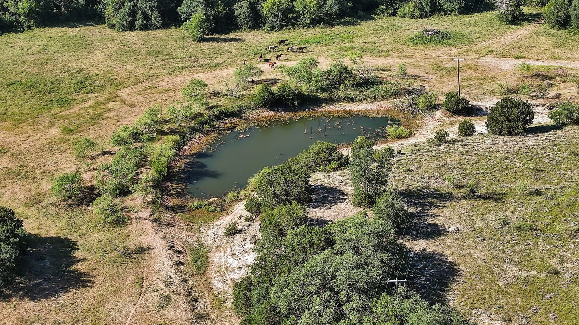153 acres in Erath County - photo 15