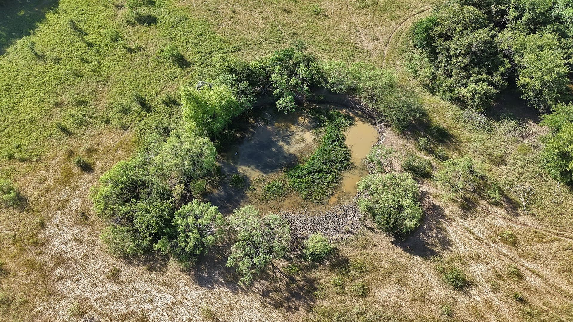 153 acres in Erath County - photo 26