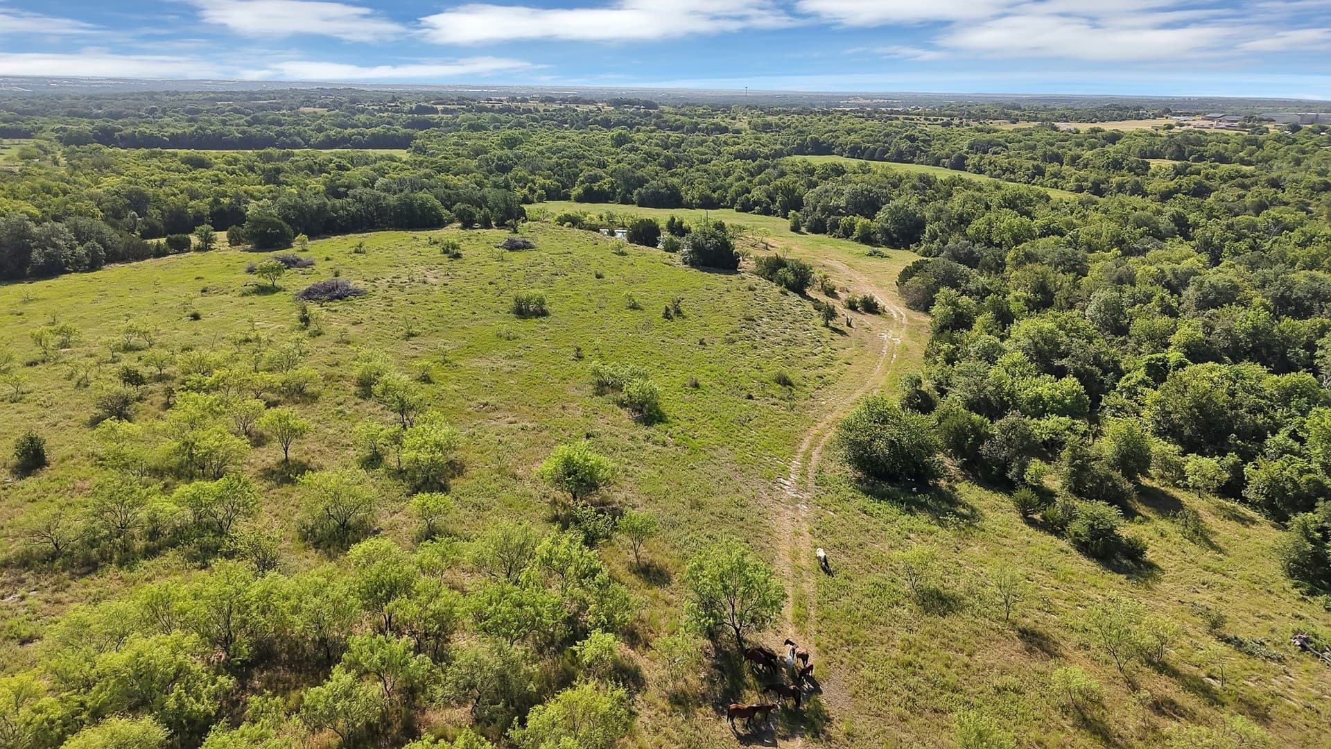 153 acres in Erath County - photo 7