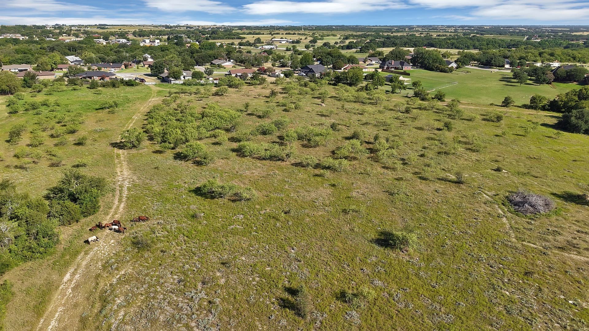 153 acres in Erath County - photo 10