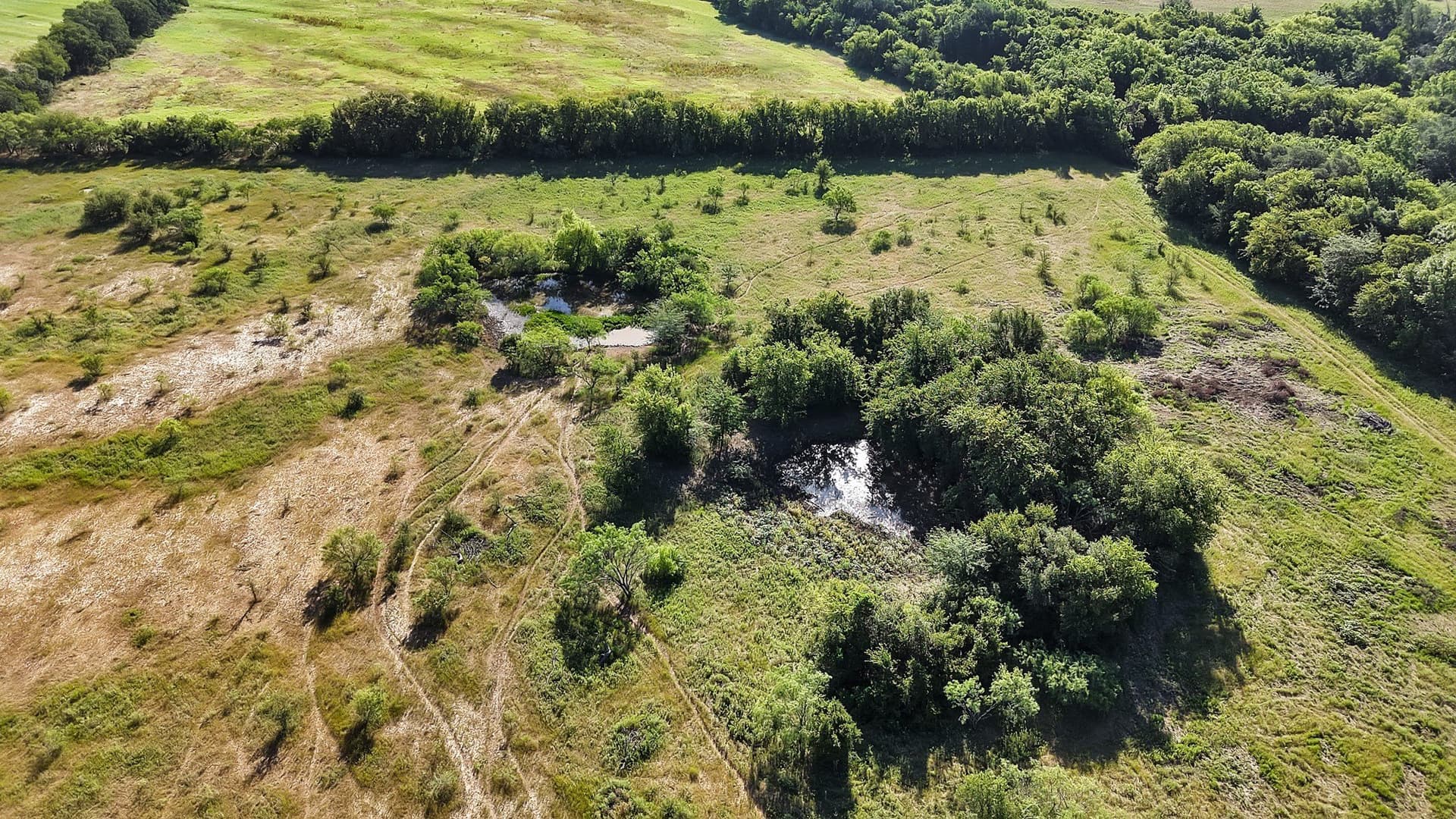 153 acres in Erath County - photo 22