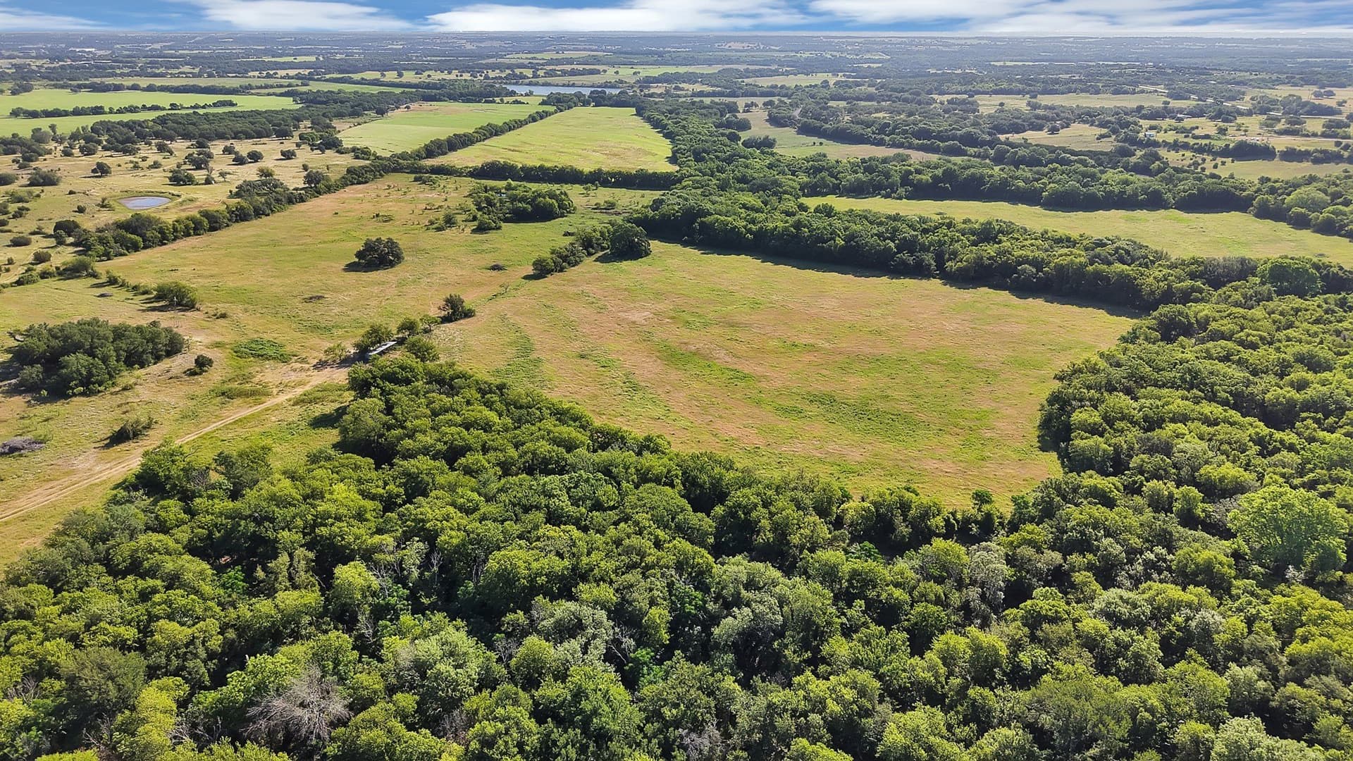 153 acres in Erath County - photo 25