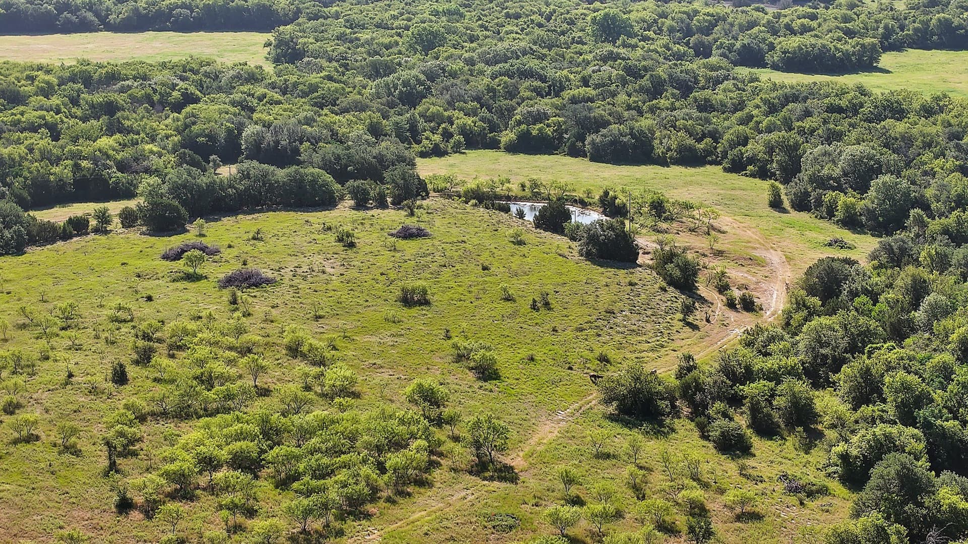153 acres in Erath County - photo 13