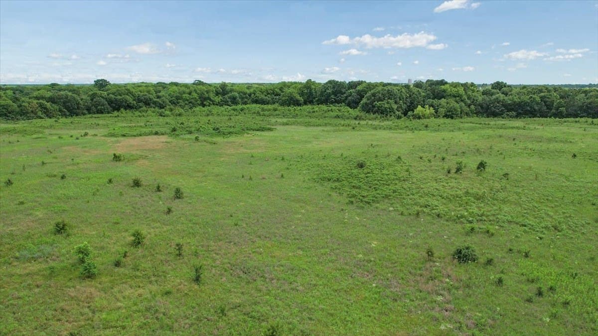 34 acres in Fannin County - photo 18