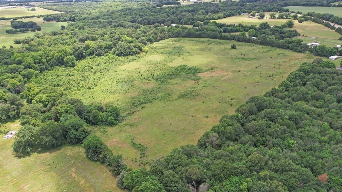 34 acres in Fannin County - photo 23
