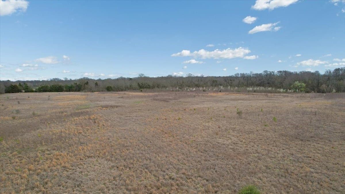 34 acres in Fannin County - photo 36