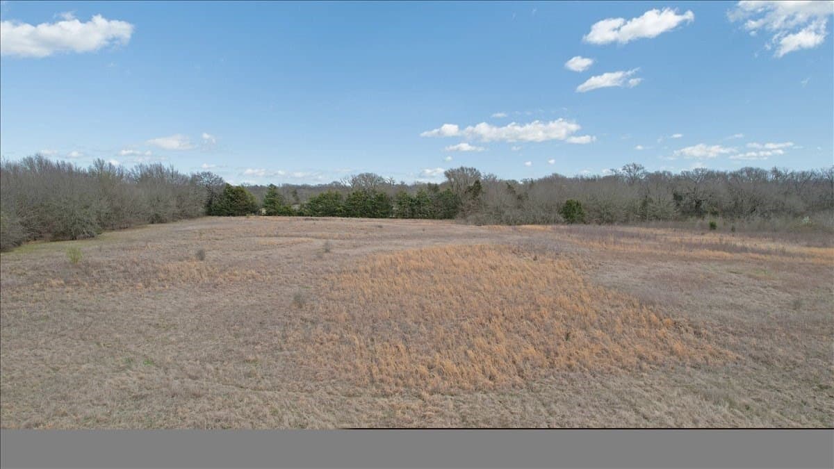 34 acres in Fannin County - photo 37