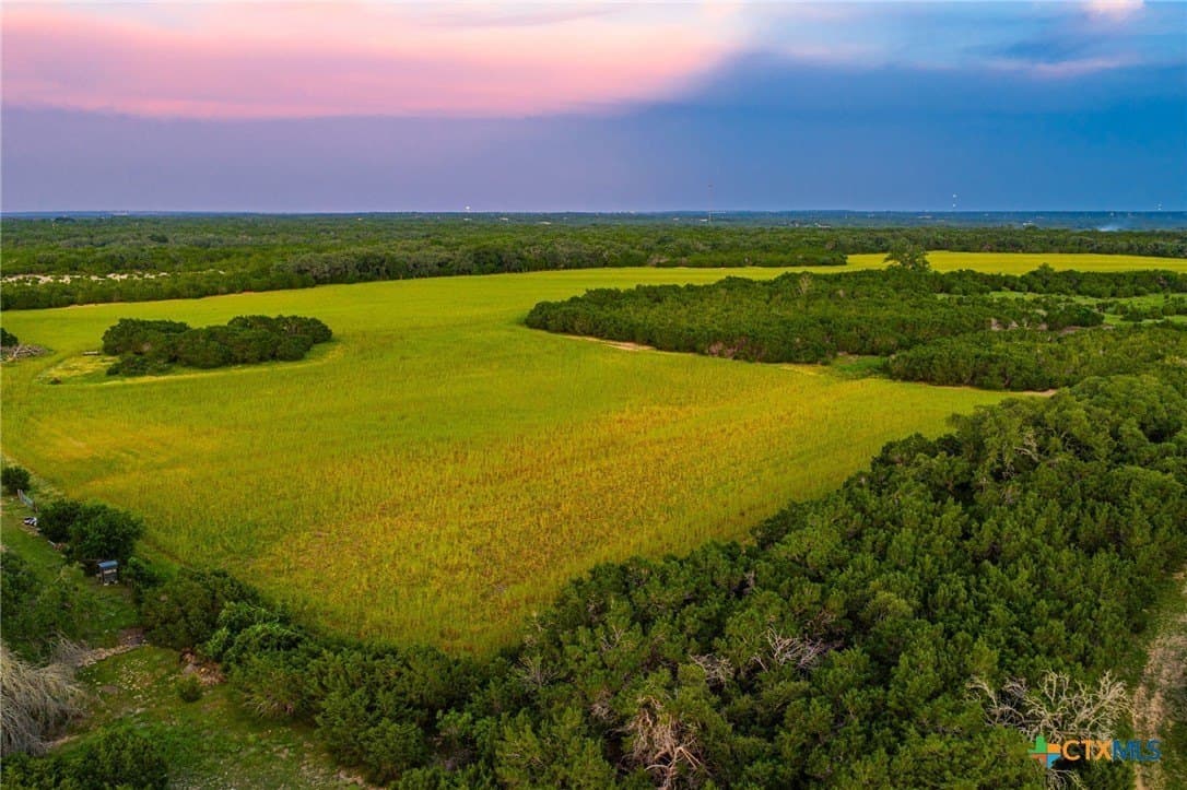 125.4 acres in Williamson County gallery image 4