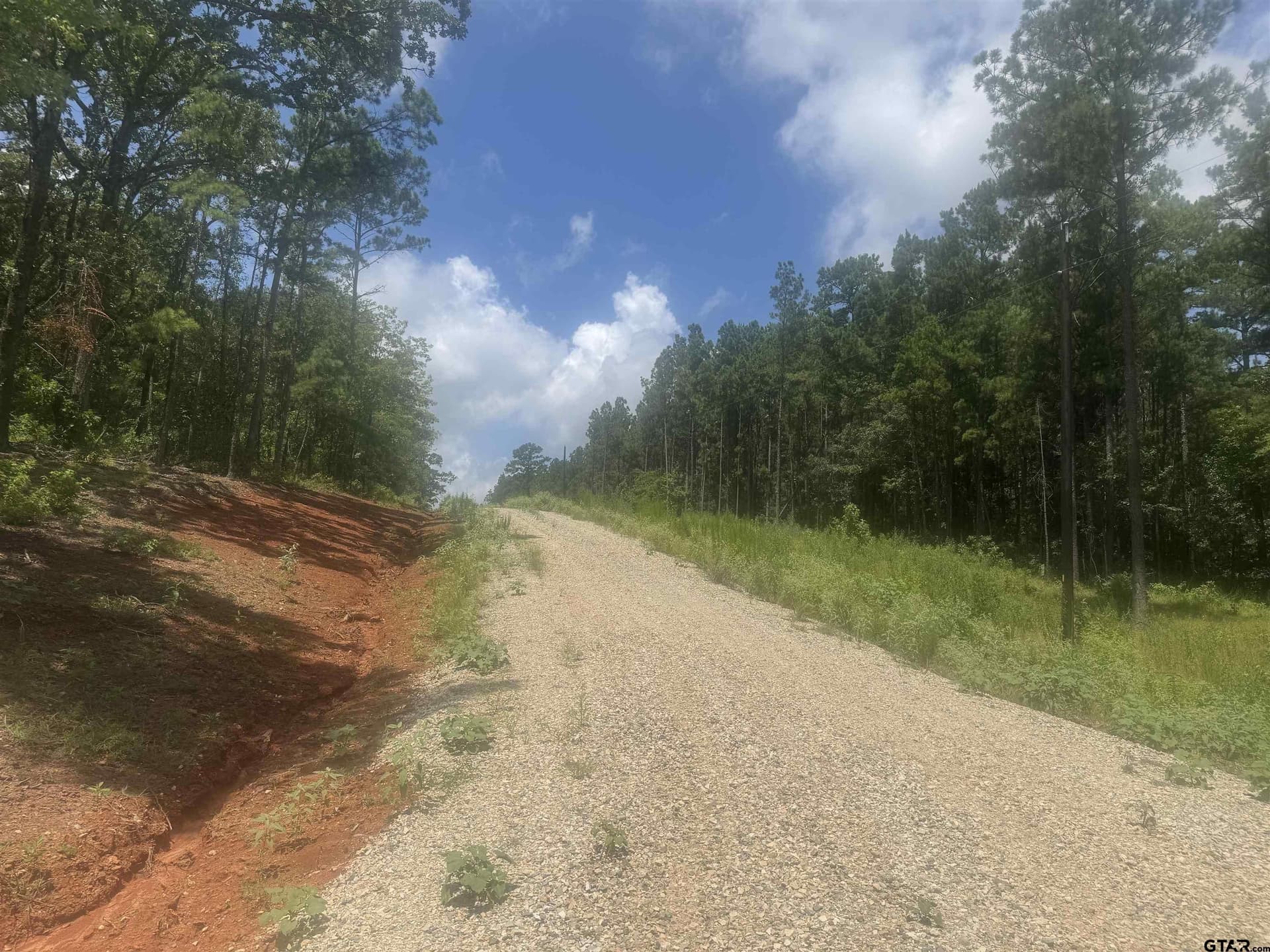 10.01 acres in Wood County gallery image 3