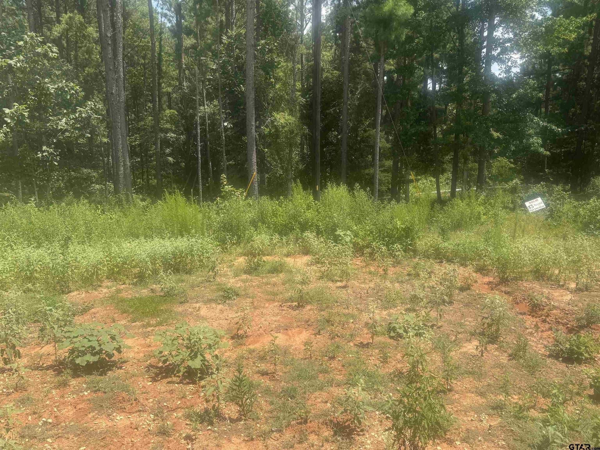 10.01 acres in Wood County gallery image 2