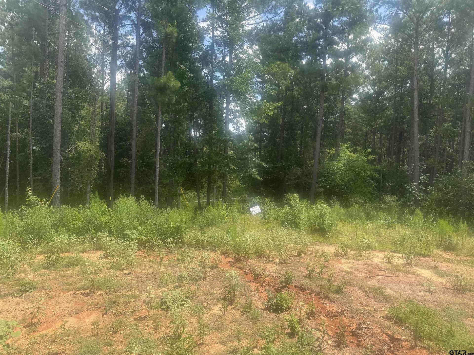 10.01 acres in Wood County