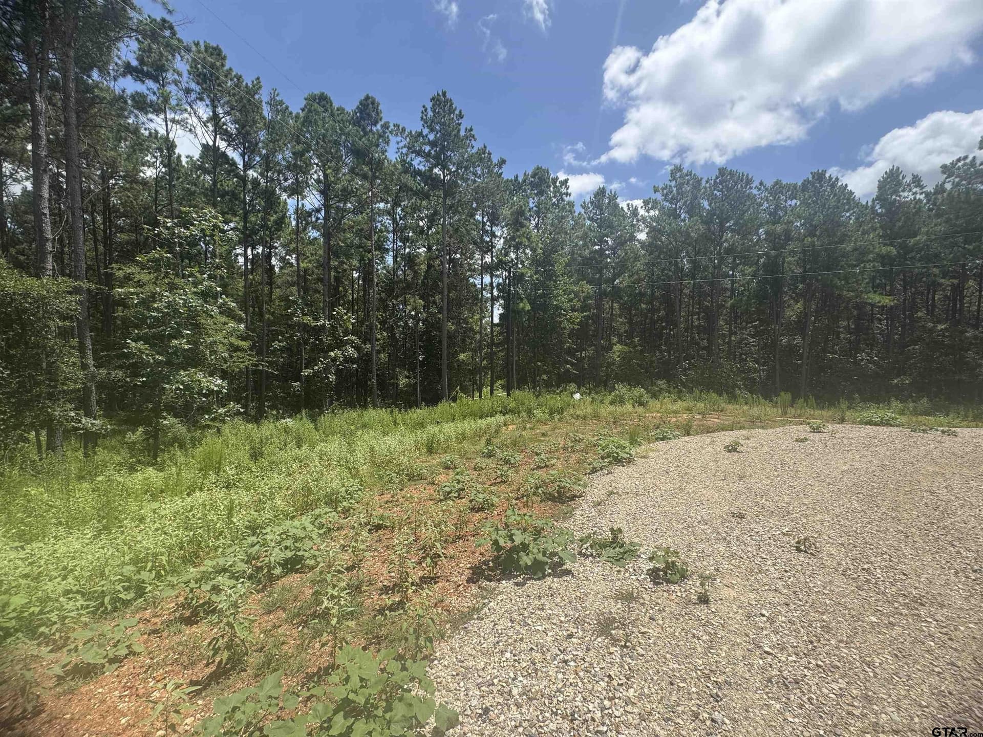 10.01 acres in Wood County featured view