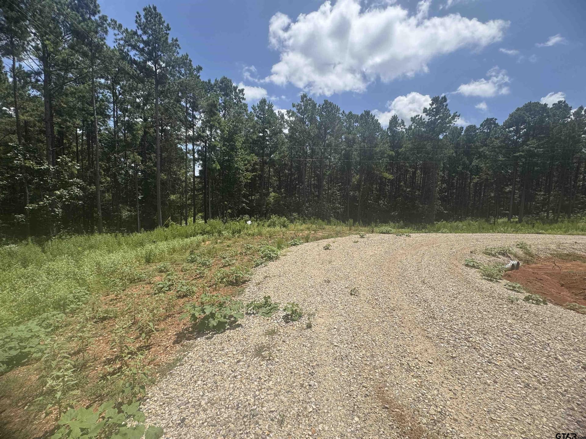 10.01 acres in Wood County gallery image 4