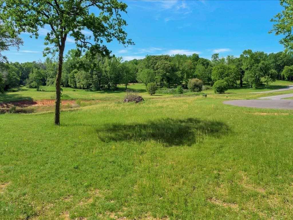 0.62 acres in Texas County - photo 4