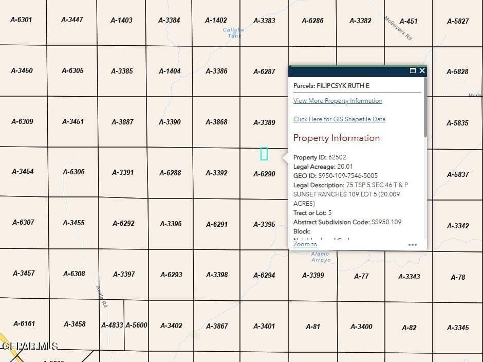 20 acres in Hudspeth County gallery image 3