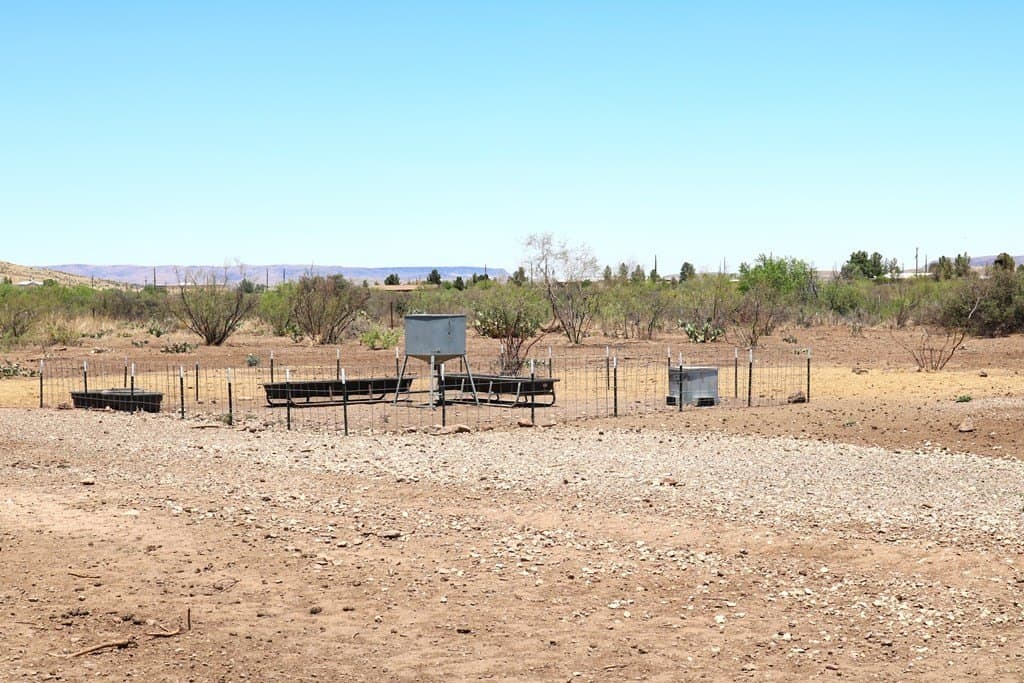 11.13 acres in Brewster County - photo 7