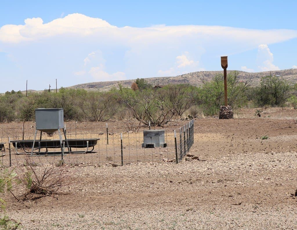 11.13 acres in Brewster County - photo 14