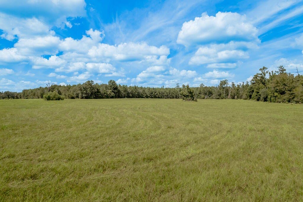 30 acres in Texas County - photo 25