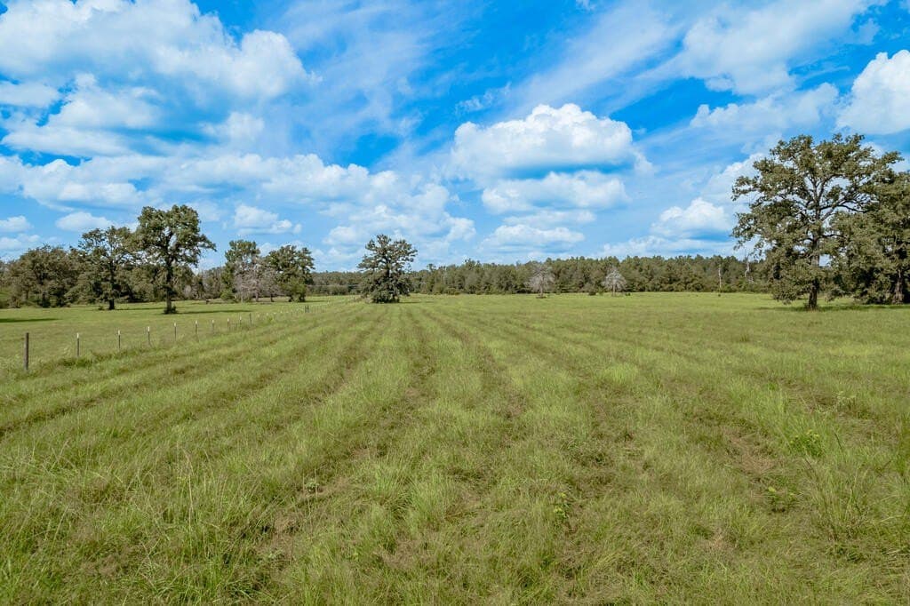 30 acres in Texas County - photo 9