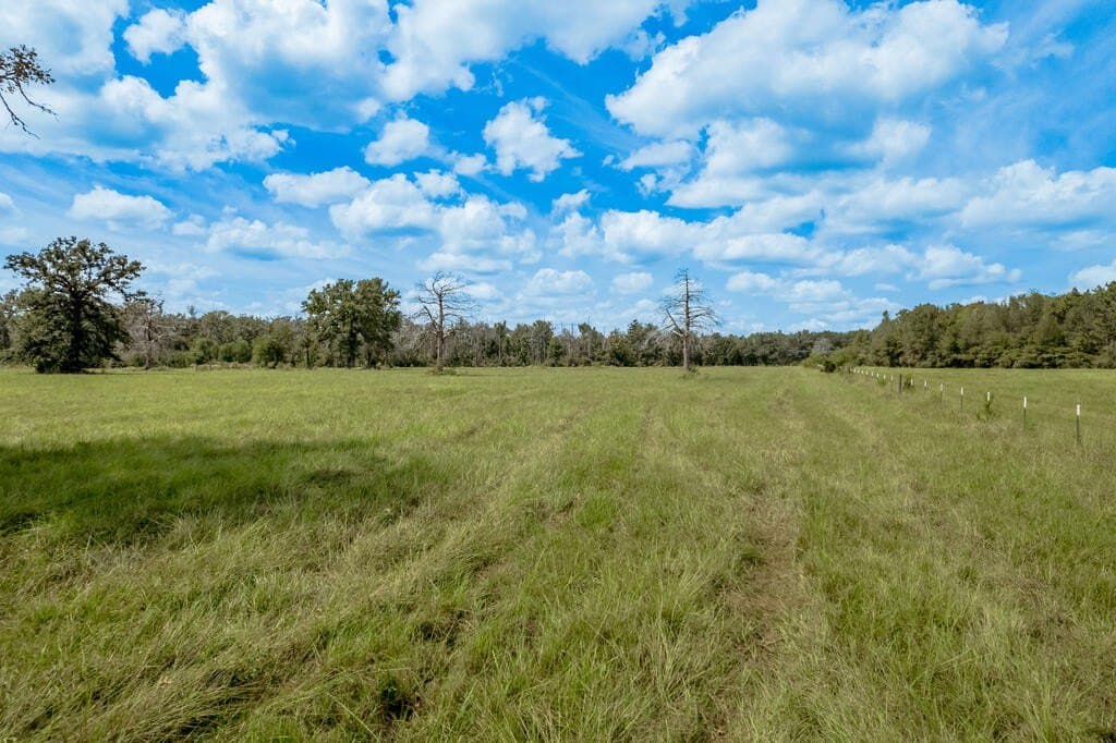 30 acres in Texas County - photo 8