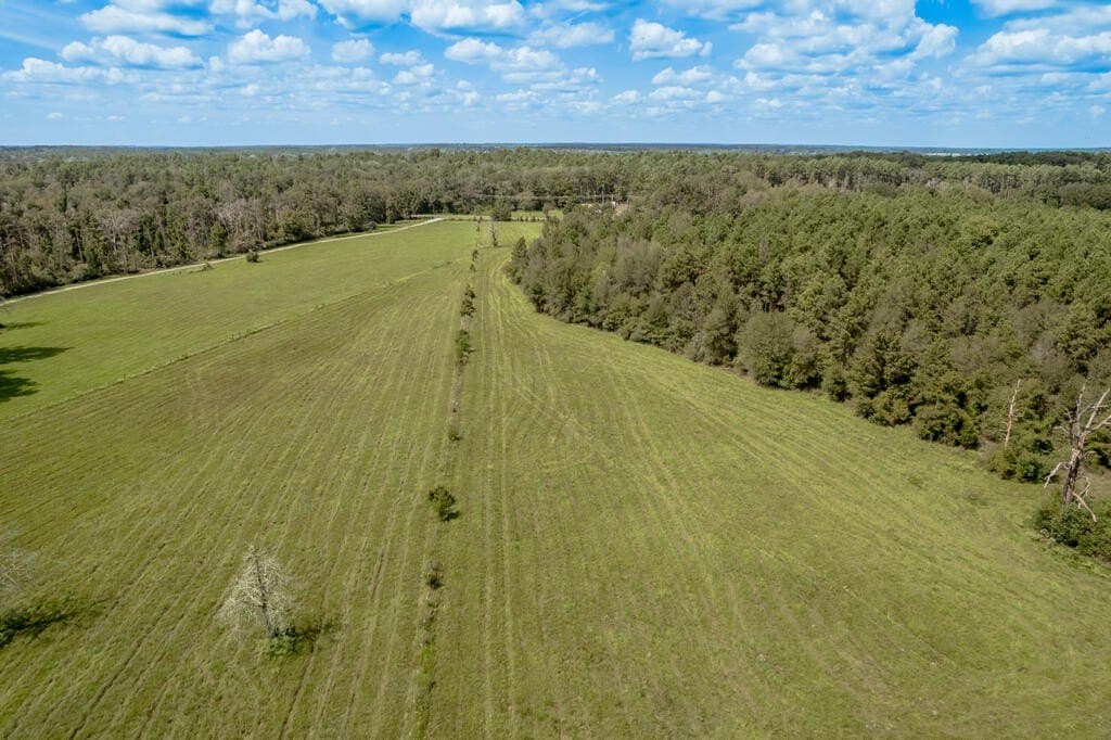 30 acres in Texas County - photo 14