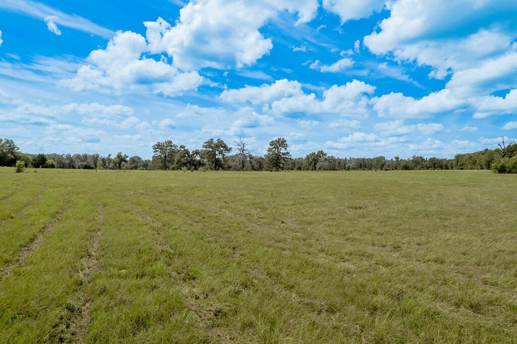 30 acres in Texas County - photo 26