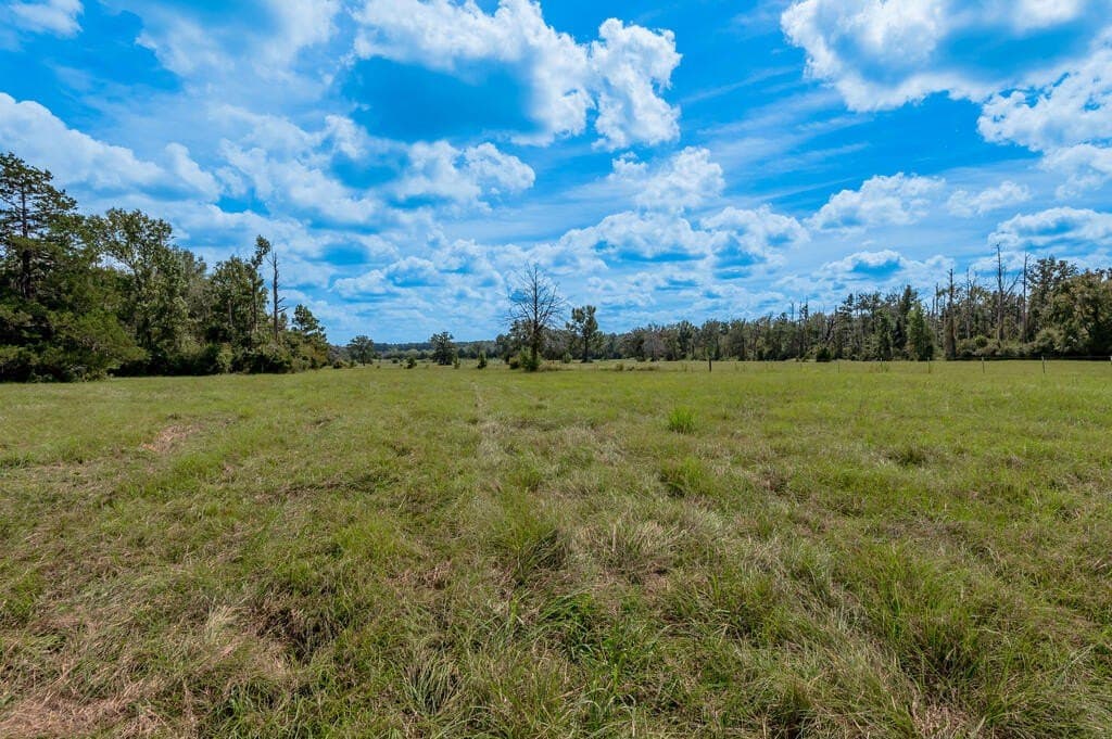 30 acres in Texas County - photo 30