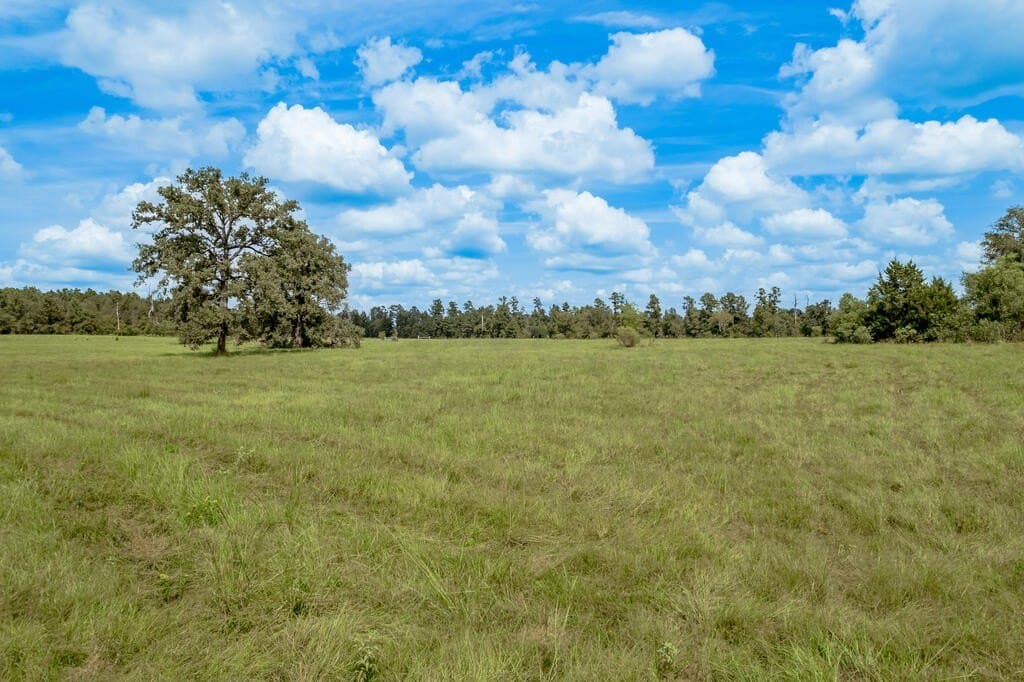 30 acres in Texas County - photo 11