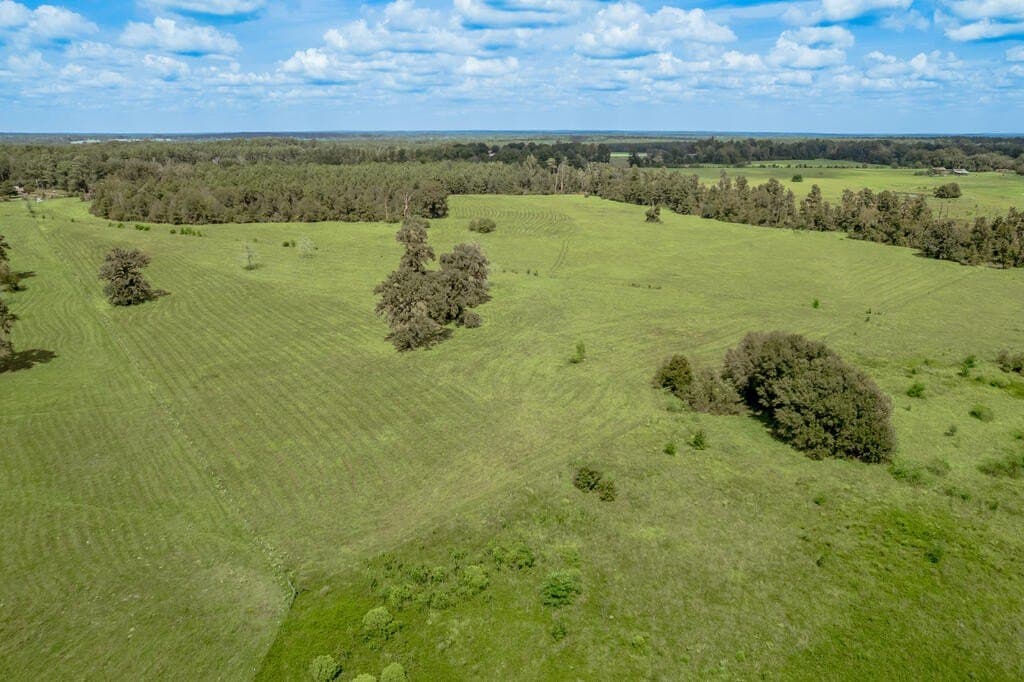 30 acres in Texas County - photo 22