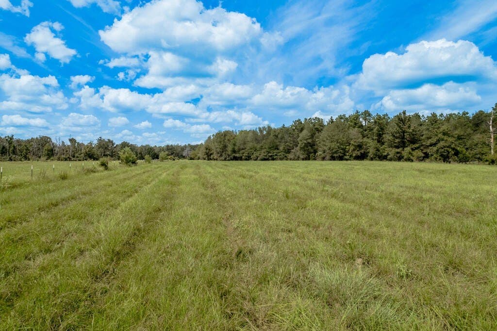 30 acres in Texas County - photo 6
