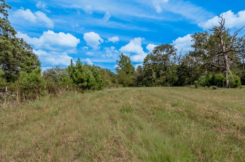 30 acres in Texas County - photo 34