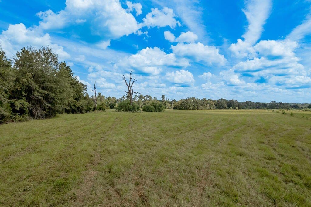 30 acres in Texas County - photo 3