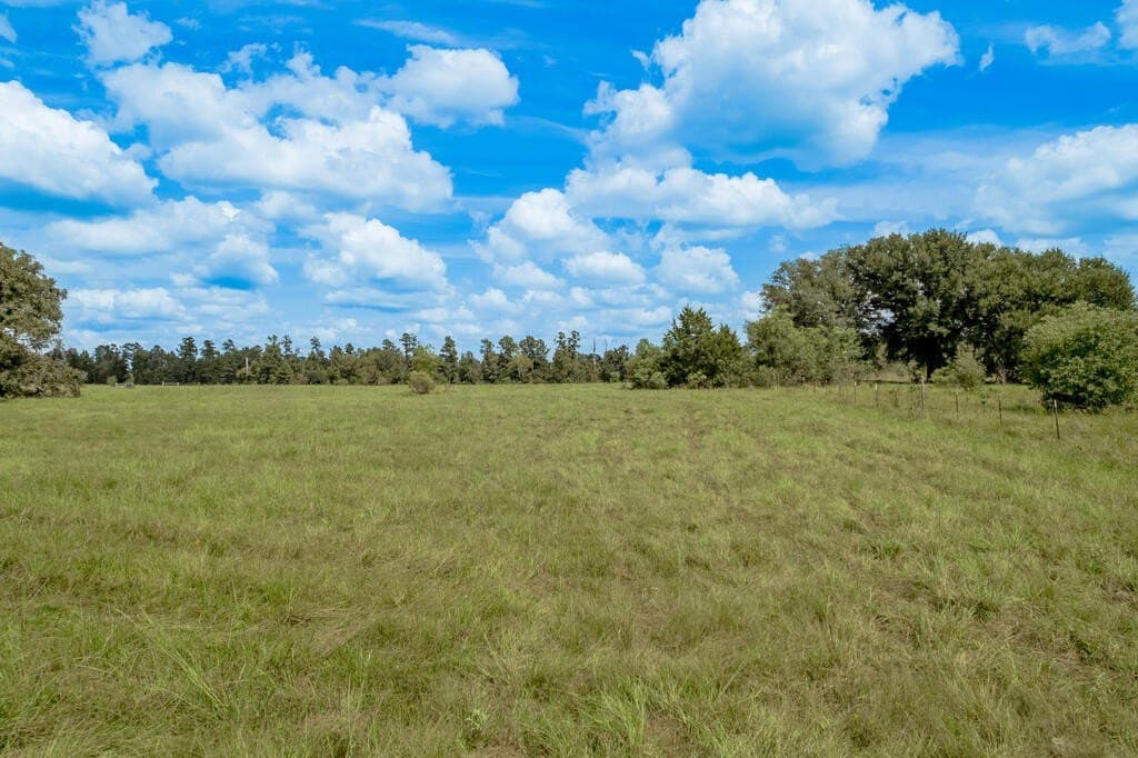 30 acres in Texas County - photo 10