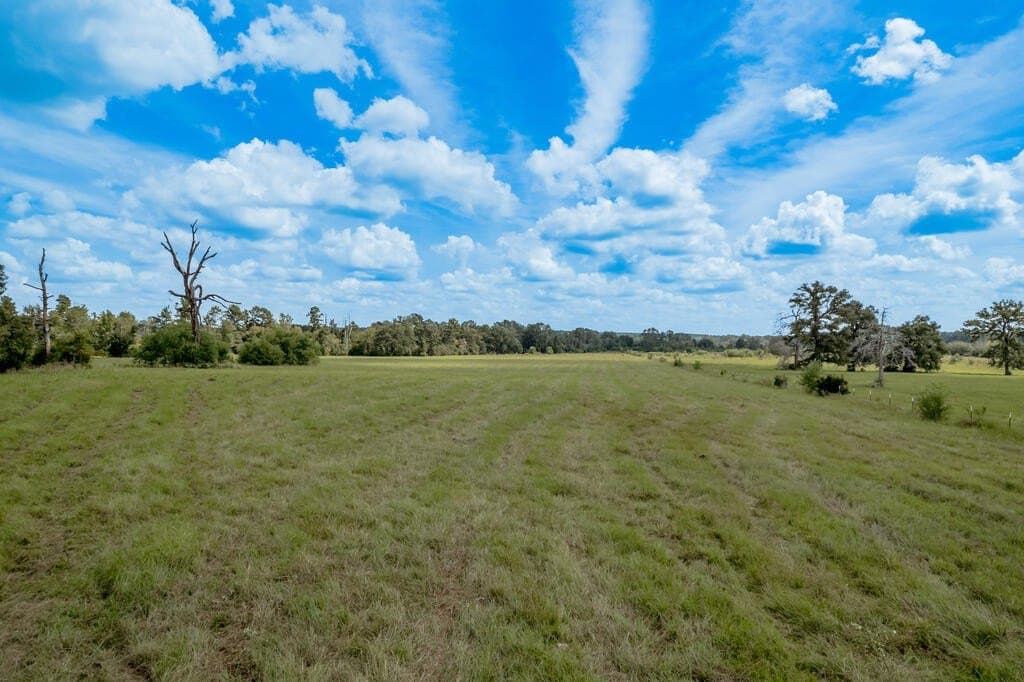 30 acres in Texas County - photo 4