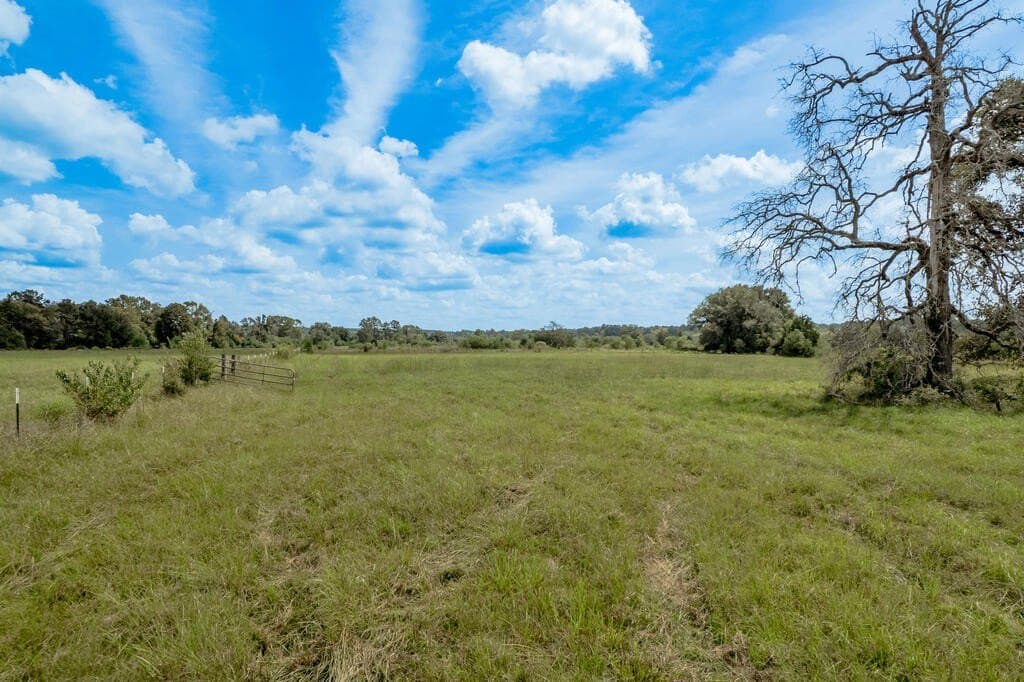 30 acres in Texas County - photo 7