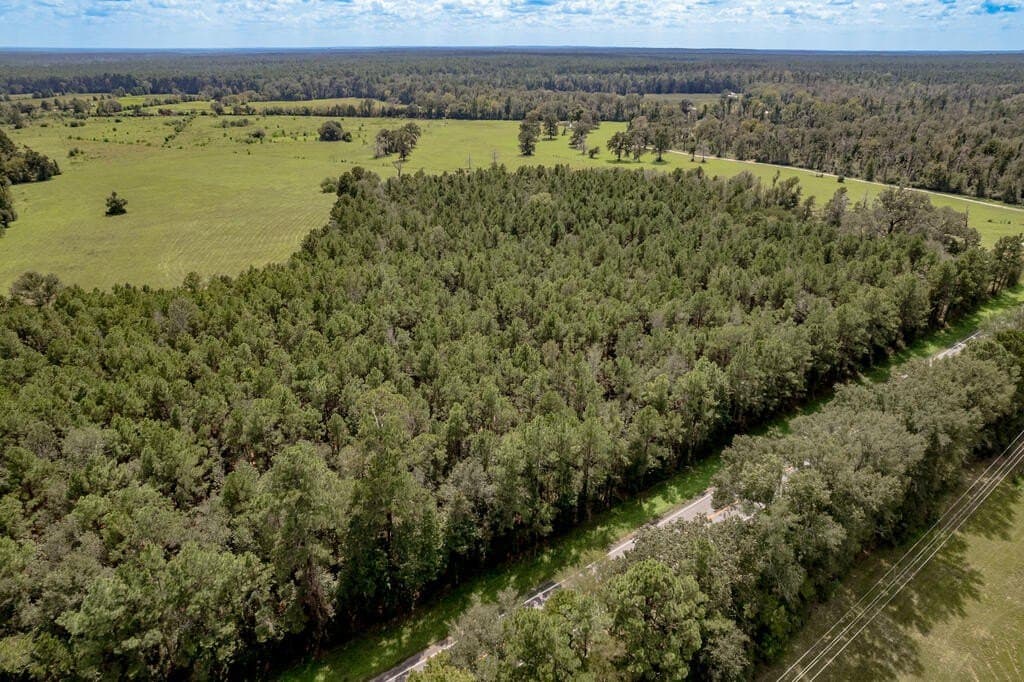 30 acres in Texas County - photo 17